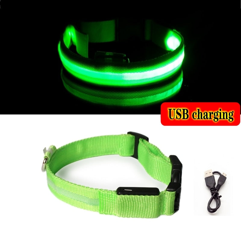 Led Dog Collar Light Anti-lost Collar For Dogs Puppies - Night Luminous Supplies - USB Charging/Battery