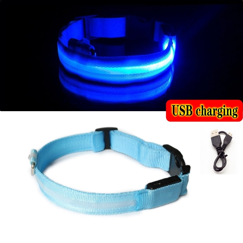 Led Dog Collar Light Anti-lost Collar For Dogs Puppies - Night Luminous Supplies - USB Charging/Battery