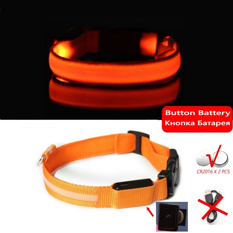 Led Dog Collar Light Anti-lost Collar For Dogs Puppies - Night Luminous Supplies - USB Charging/Battery