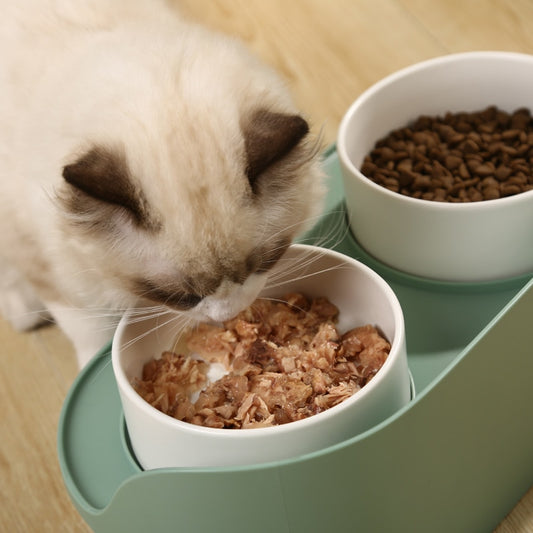 Semi Enclosed Anti Spill Raised Pet Food and Water Bowl