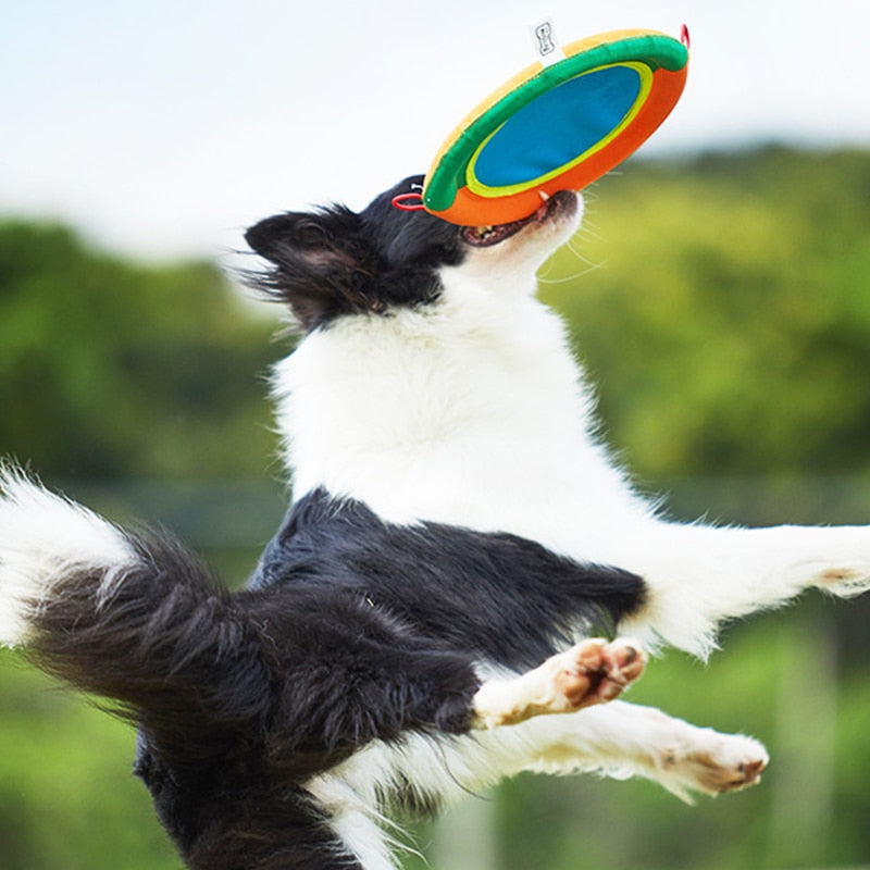 Frisbee Dog Interactive Playtime Training Cloth Toy