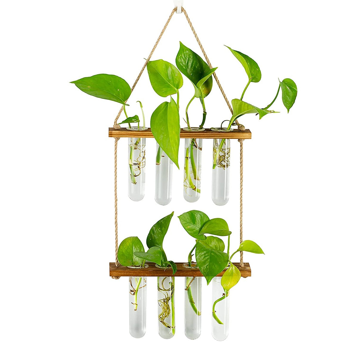 Ins Wall Hanging Glass Planter Terrarium Container