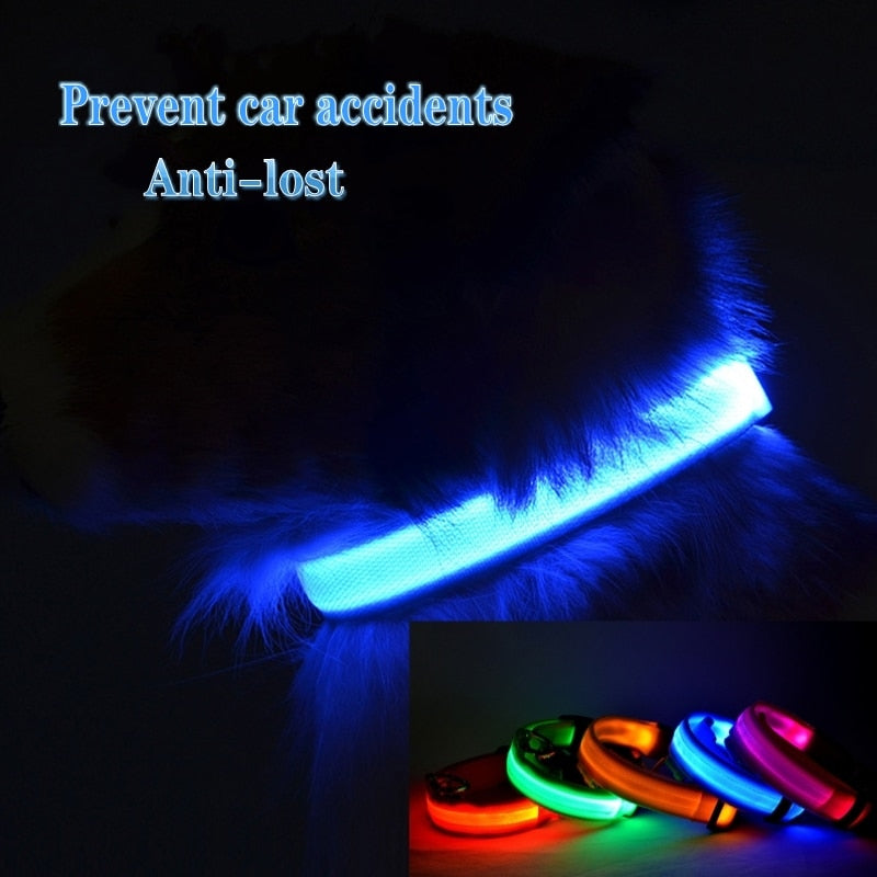 Led Dog Collar Light Anti-lost Collar For Dogs Puppies - Night Luminous Supplies - USB Charging/Battery