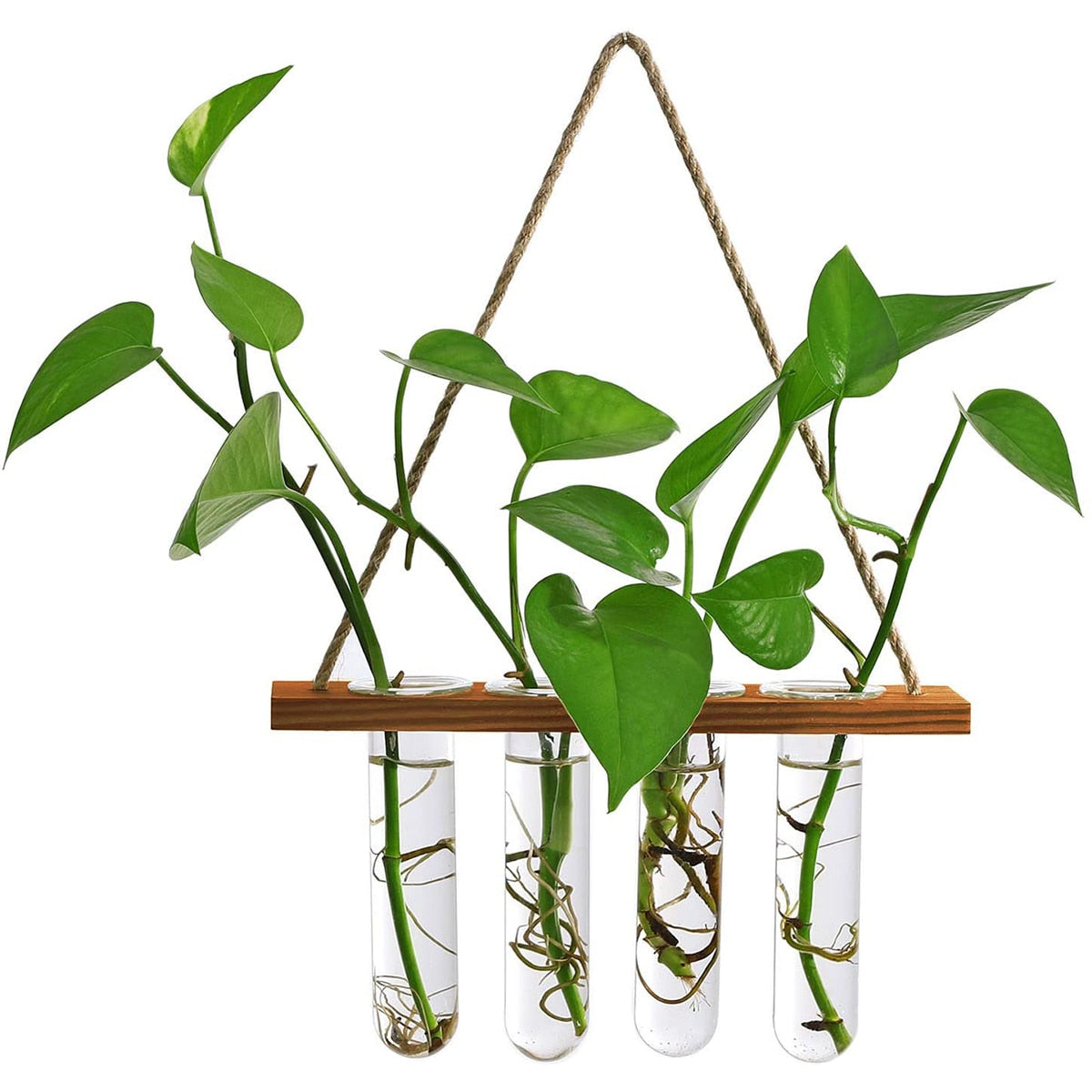 Ins Wall Hanging Glass Planter Terrarium Container