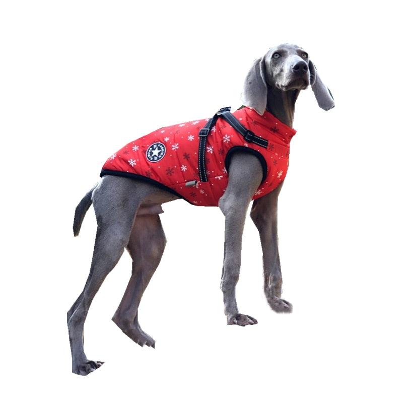 Large Pet Dog Jacket With Harness Winter Warm Dog Clothes For Labrador - Waterproof Outfit