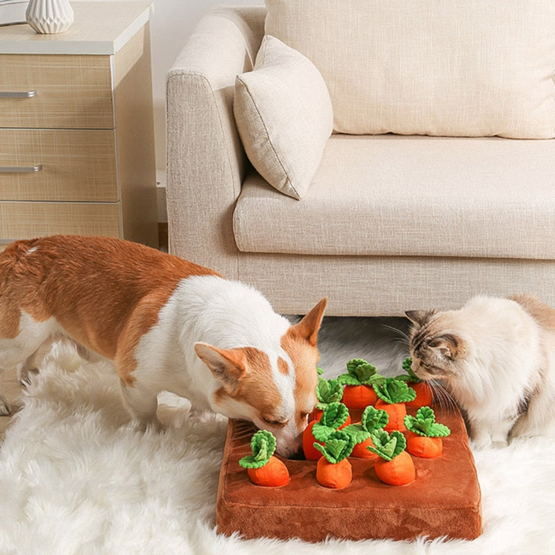 Carrot Plush Toy - Snuffle Mat