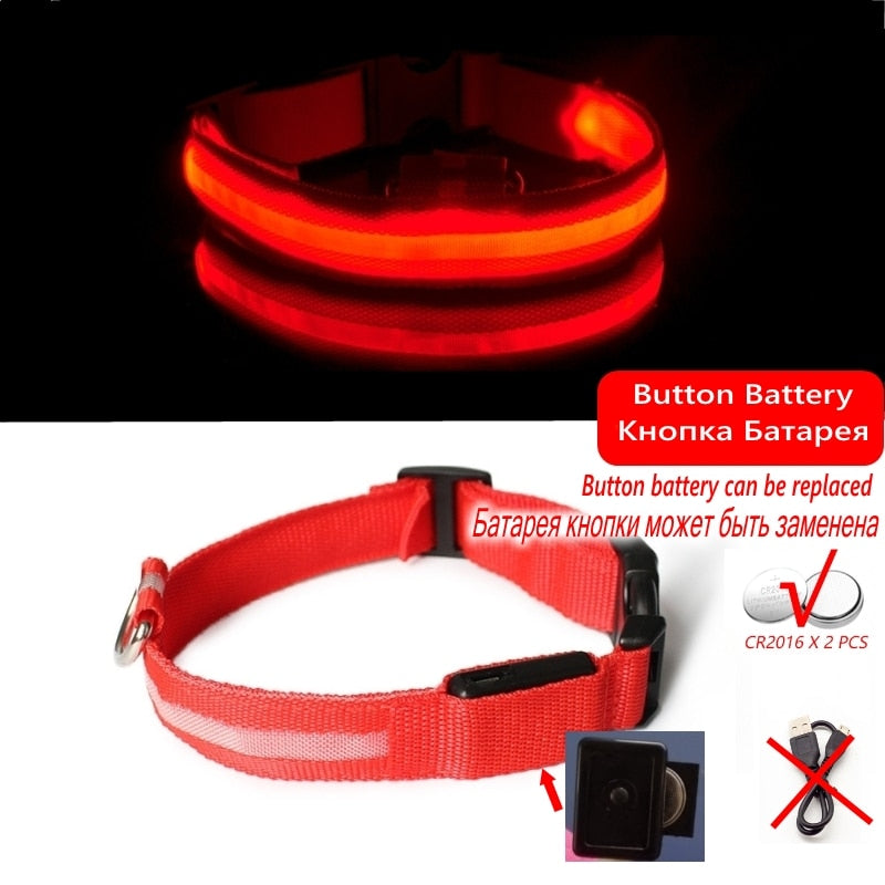 Led Dog Collar Light Anti-lost Collar For Dogs Puppies - Night Luminous Supplies - USB Charging/Battery